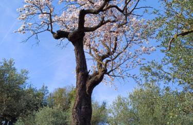 PRIORAT Ca la Iolanda "RELAX ESCALADA Y NATURALEZA" - Foto 39