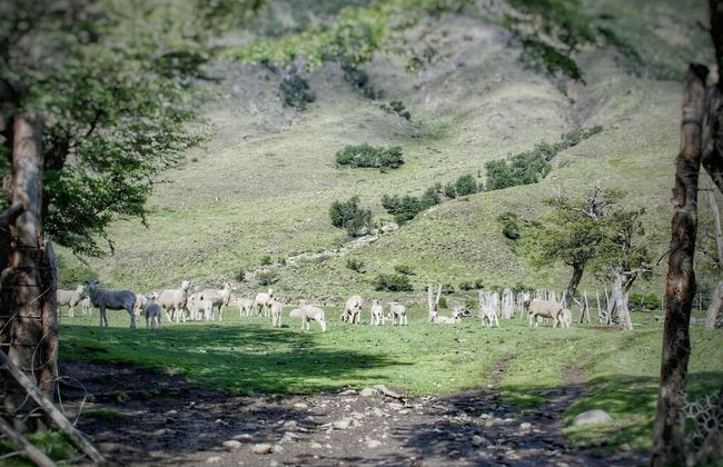 Estancia Bonanza - Foto 77