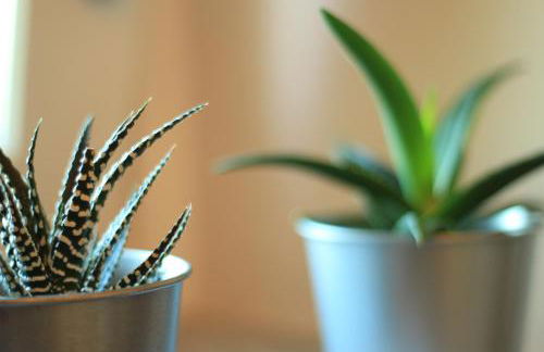 La Basiglia Apartment - Foto 14