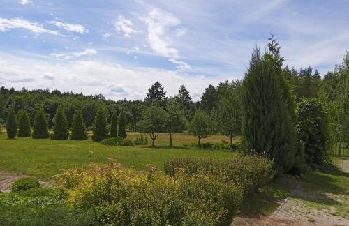 Agroturystyka Lisa Młyn - Foto 57