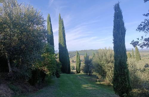 Agriturismo Podere Tresa - Photo 64