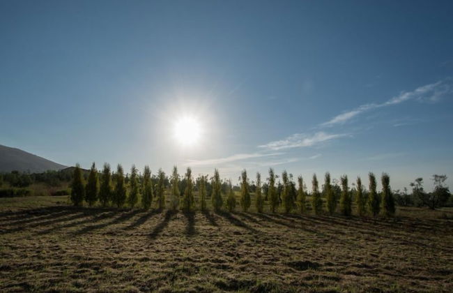 Agriturismo la Torricella - Foto 34