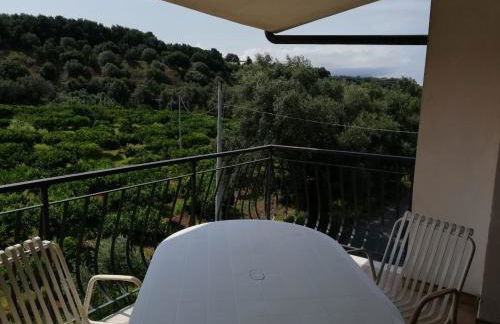 L' Agrumeto - Photo 13