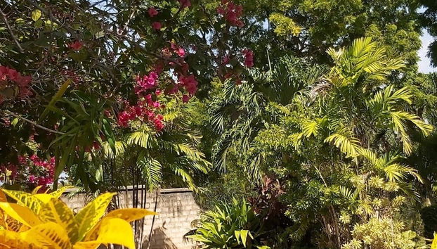 Tiwani Sunset, a Little Piece of Eden - Foto 5, Piscina