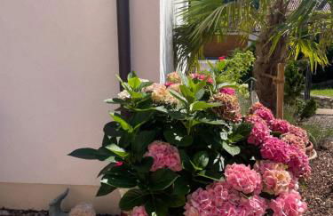 Ferienwohnung mit Blick auf die Abteikirche - Foto 17