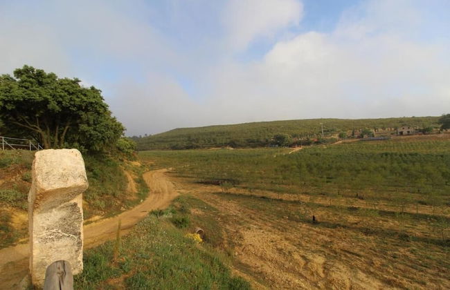 Masia Heredad La Boquilla - Foto 43