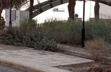 Dora's House - Photo 39