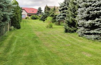 Agroturystyka Pod Lipa - Foto 24