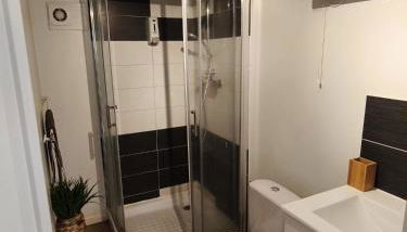 Studio Calme - Séjour Pro & Détente - Wifi - Foto 5, Shower
