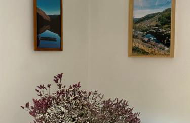 Amodiño do Camiño - Foto 17