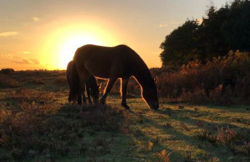 Corner Cottage - character, charm, great location. - Foto 71