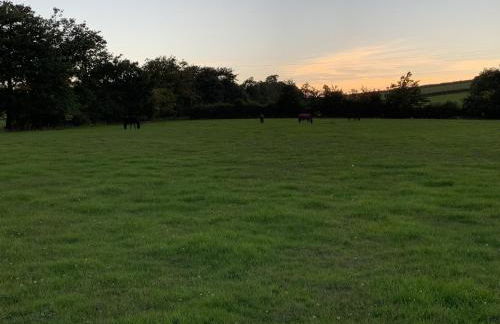 The Farm Barn - Foto 6