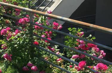 Hilltop Sea View - Foto 31