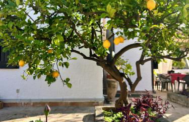 Casa del Sileno 12 - Foto 2