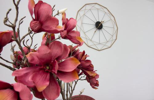 Sea La Vie Split centre - Foto 15