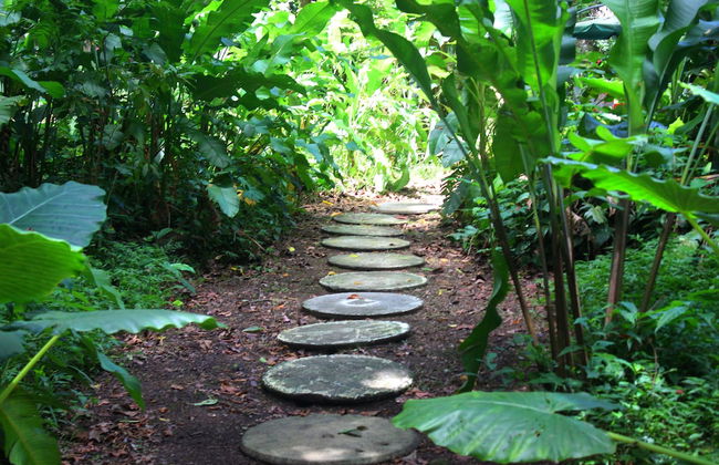 Casa Cerise - Foto 56