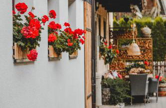 Luggishof - Photo 34