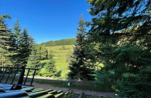 Apartment im Wald - mit Schwimmbad! - Foto 52