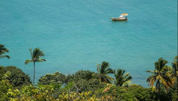 Cabo de Santo Agostinho Beaches Day Trip - Foto 5