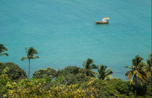Excursion aux plages de Cabo de Santo Agostinho - Photo 6