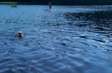 Haus am Park - Foto 9