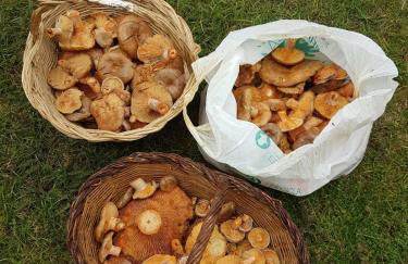 Allotjaments Vall de Muntanyes - Foto 33