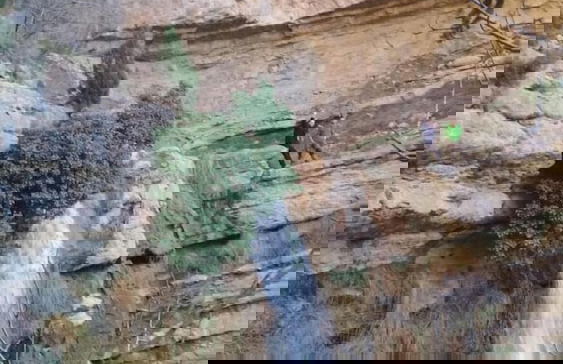 Mas de Leon - Photo 57