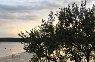 Apartmani BAU BAB - Foto 22