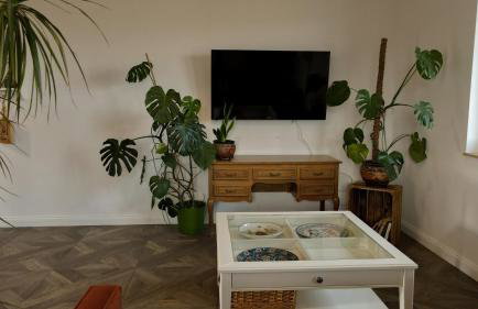 Lawendowy Raj - Foto 51