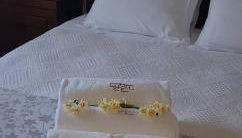 Casa Esquível - Foto 3