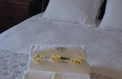 Casa Esquível - Foto 3