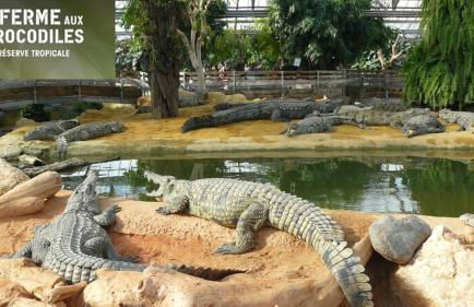 Les studios Tu Elleta - Foto 15