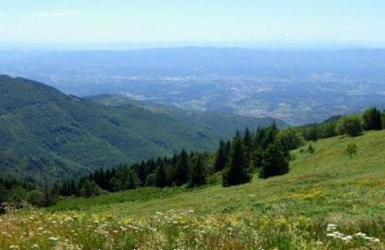 La casa di Nina - Foto 20