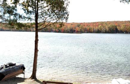 Log Cottage on Blue Lake - Foto 23