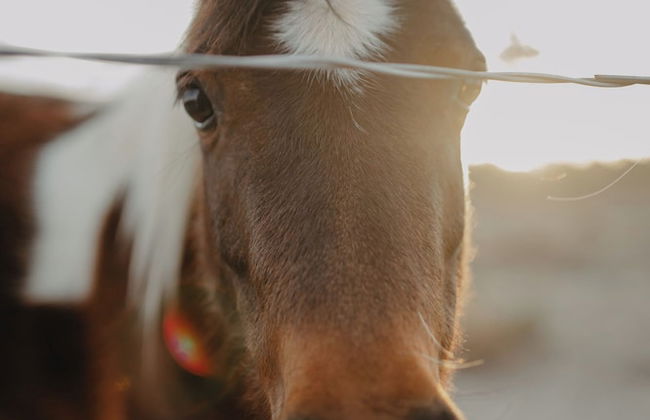 Paradise Ranch - Foto 22