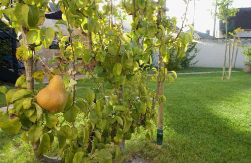 Le Petit Tonneau - Photo 28