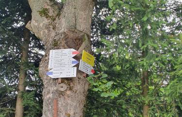 SierPlejs Hill - domki przy szlaku w Górach Sowich - Foto 33