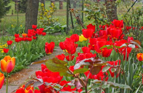 Zum Dorfschullehrer - Foto 39