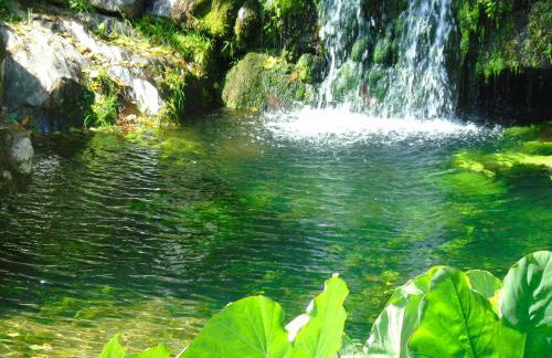 Quinta da Chouza Agroturismo e Enoturismo - Foto 69