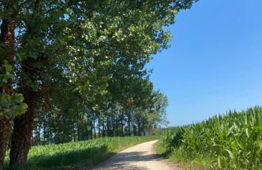 Casa Petroleiro - Foto 45