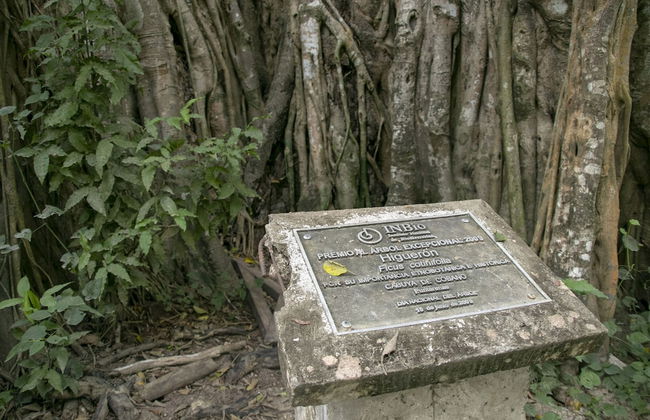 Villas Cabuya Beach & Forest - Foto 66