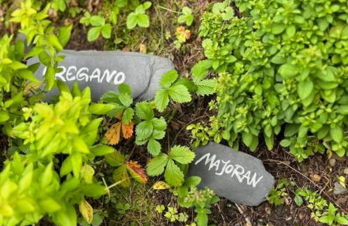 Stausee- WaldLoft - Foto 22