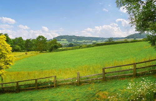 Shippen - Uk50078 - Photo 10