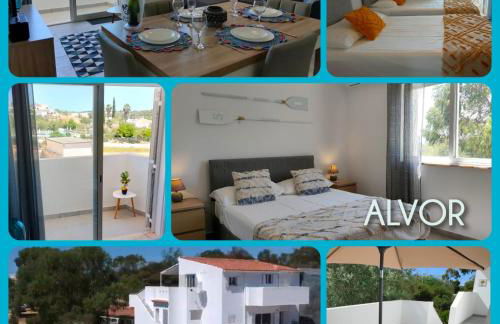 EstrelasDourada ALVOR Limoeiro - Foto 30