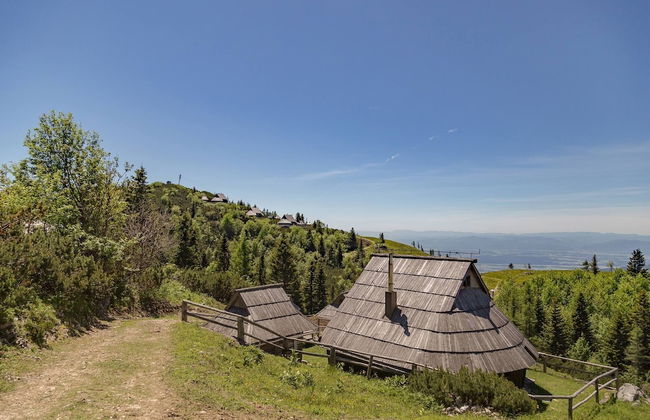 To Fall In Love - Chalet Zlatica - Velika Planina - Foto 19