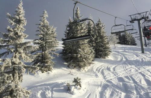 Y Hôtes- Ambiance Montagne T2 Station Hirmentaz - Foto 15