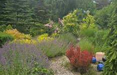 Cottage on the Hill - Foto 55