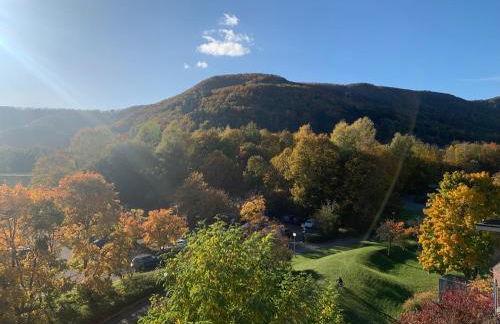Private Suite im Gebäude des Graf Eberhard Hotels - Foto 22