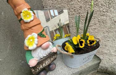 "La petite maison" Triplex au centre ville - Les Terres du Roy - Foto 32