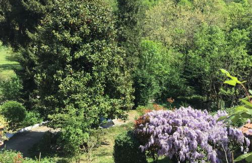 Nel verde house di Rolando - Photo 44